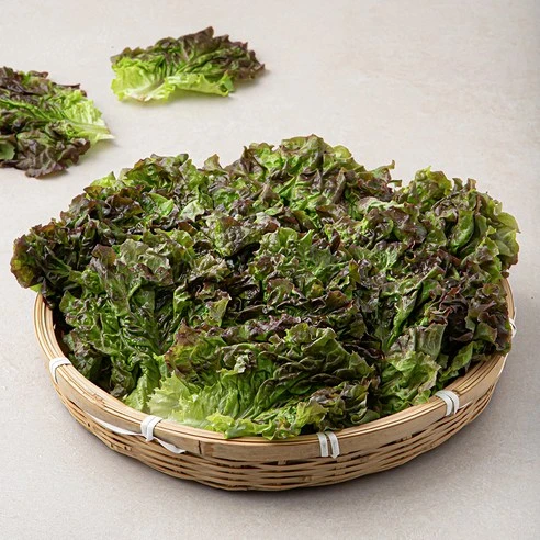 [ㅋㅍ]국내산 적상추, 300g, 1봉( 2,590원, 31% 할인)