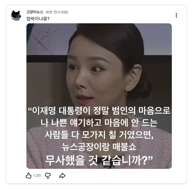 고양이뉴스 강미정 저격