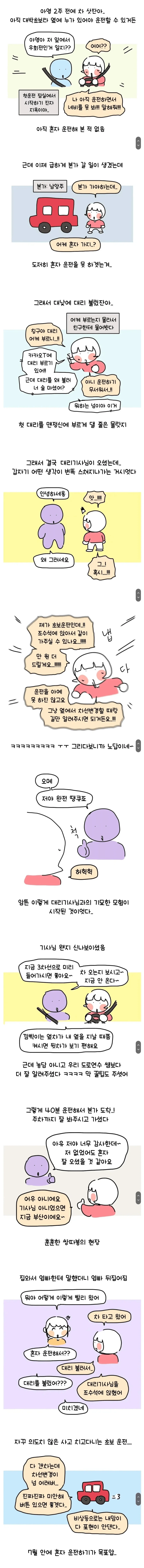 대낮에 맨정신으로 대리기사 부른 썰