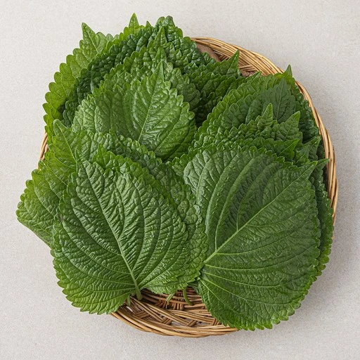 [ㅋㅍ]GAP인증 밀양 깻잎, 60g, 1팩( 1,680원, 32% 할인)