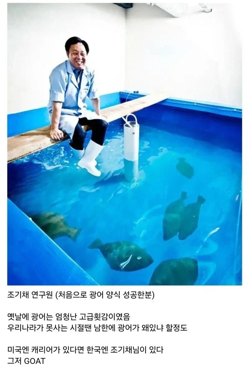 광어를 '국민 생선' 으로 만들어주신 분