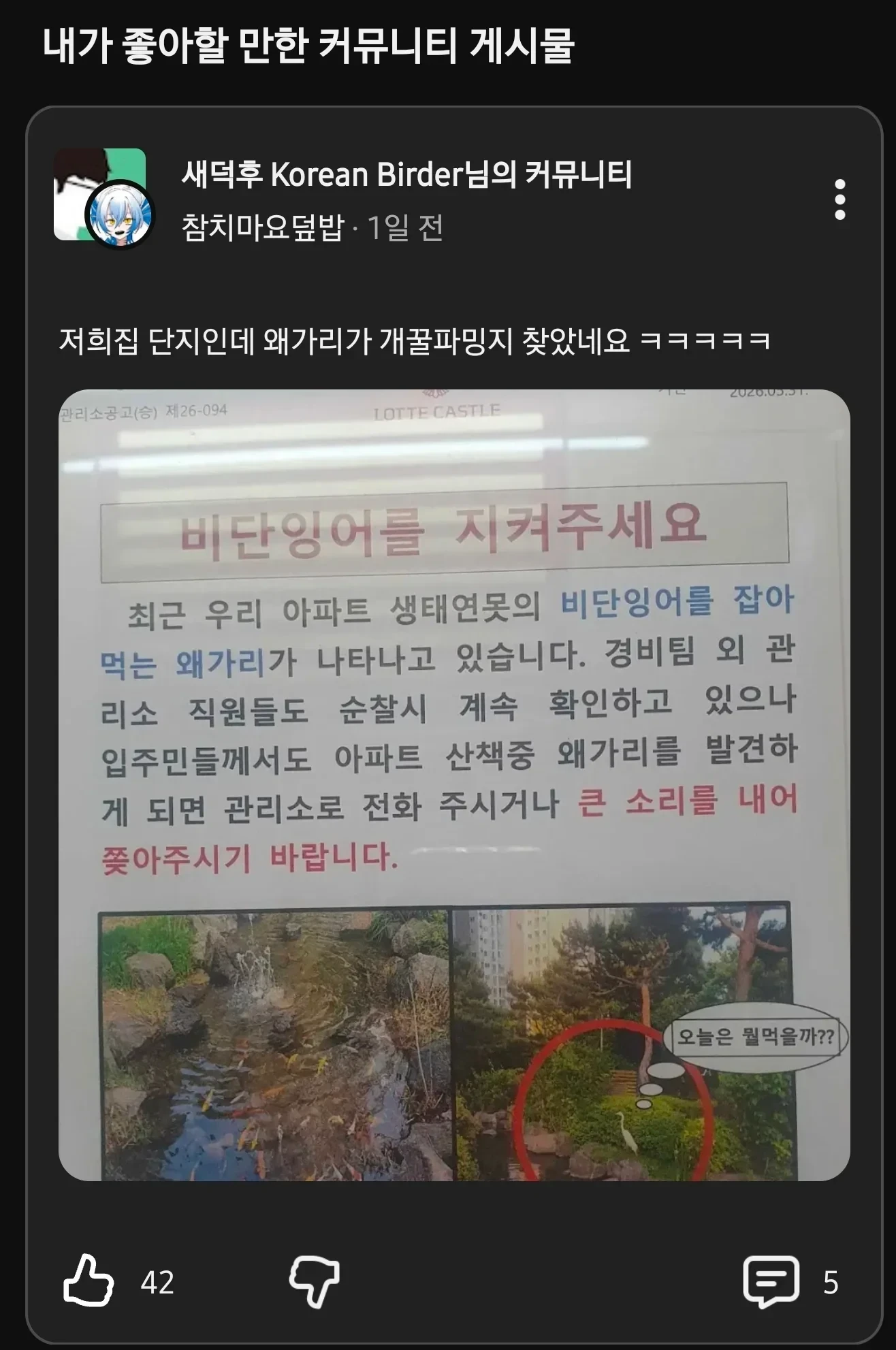 아파트 단지내 왜가리 근황.jpg