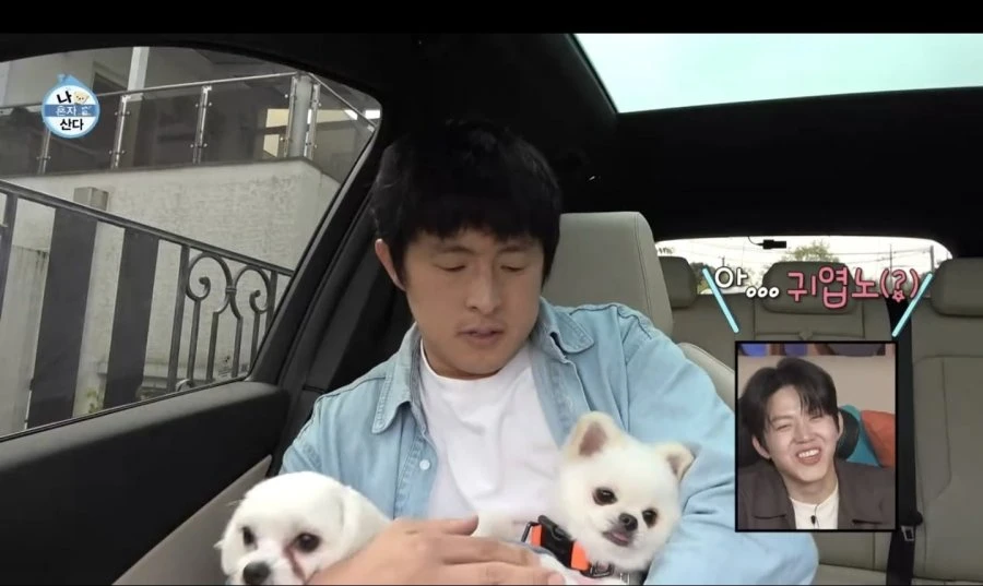 일베 의심되는 연예인이네요