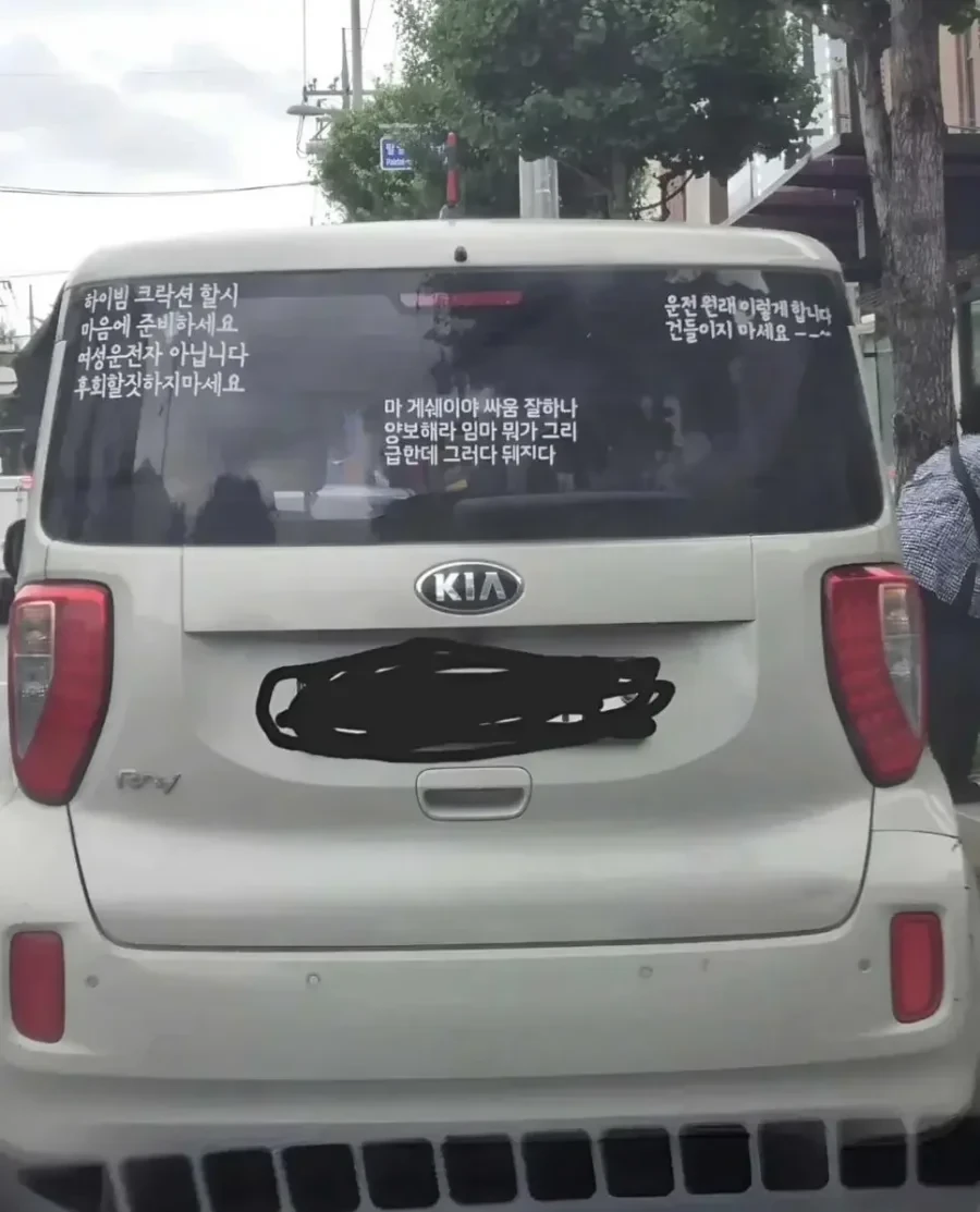 잔뜩 화난 레이 운전자.jpg