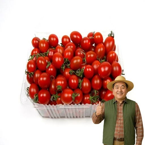 [ㅋㅍ]노씨고집 산지직송 정품 대추방울토마토, 2kg 소과, 1개( 12,900원, 40% 할인)