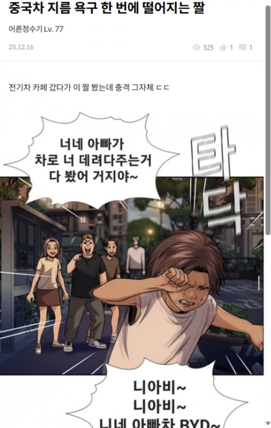 전기차 카페에 돌고있다는 짤.byd
