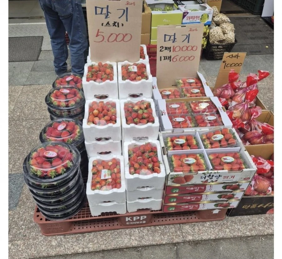 딸기값 근황.jpg