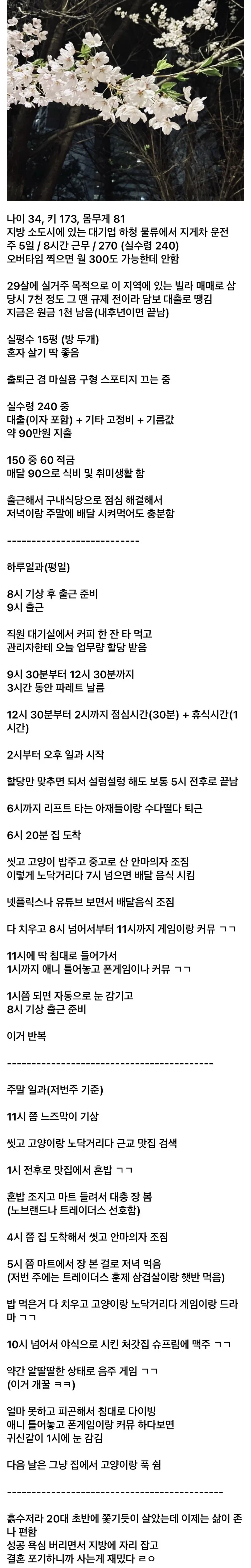 결혼 포기했다는 30대 디시인의 삶