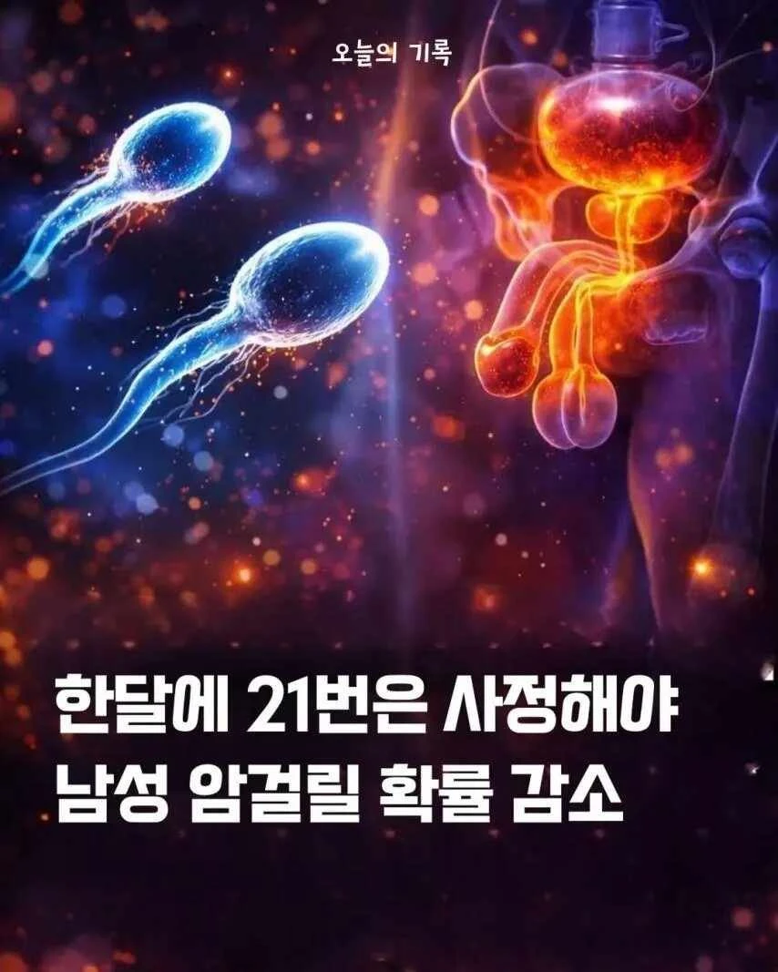 한달에 21번은 사정해야. JPG