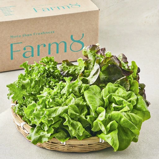 [ㅋㅍ]팜에이트 무농약 인증 유러피안 샐러드 꾸러미( 6,400원, 18% 할인)