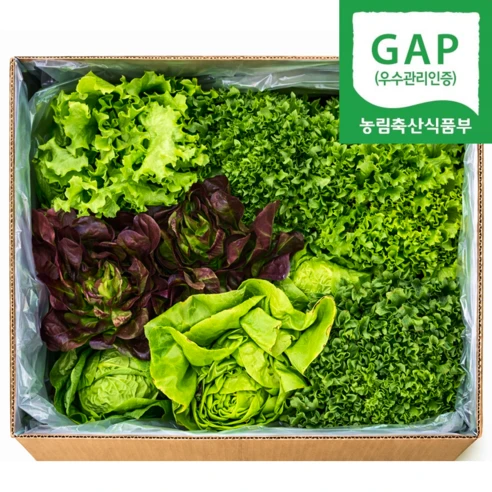 [ㅋㅍ][환불보장] 유러피안 샐러드 쌈채소 GAP인증, 600g, 1박스( 5,900원, 19% 할인)