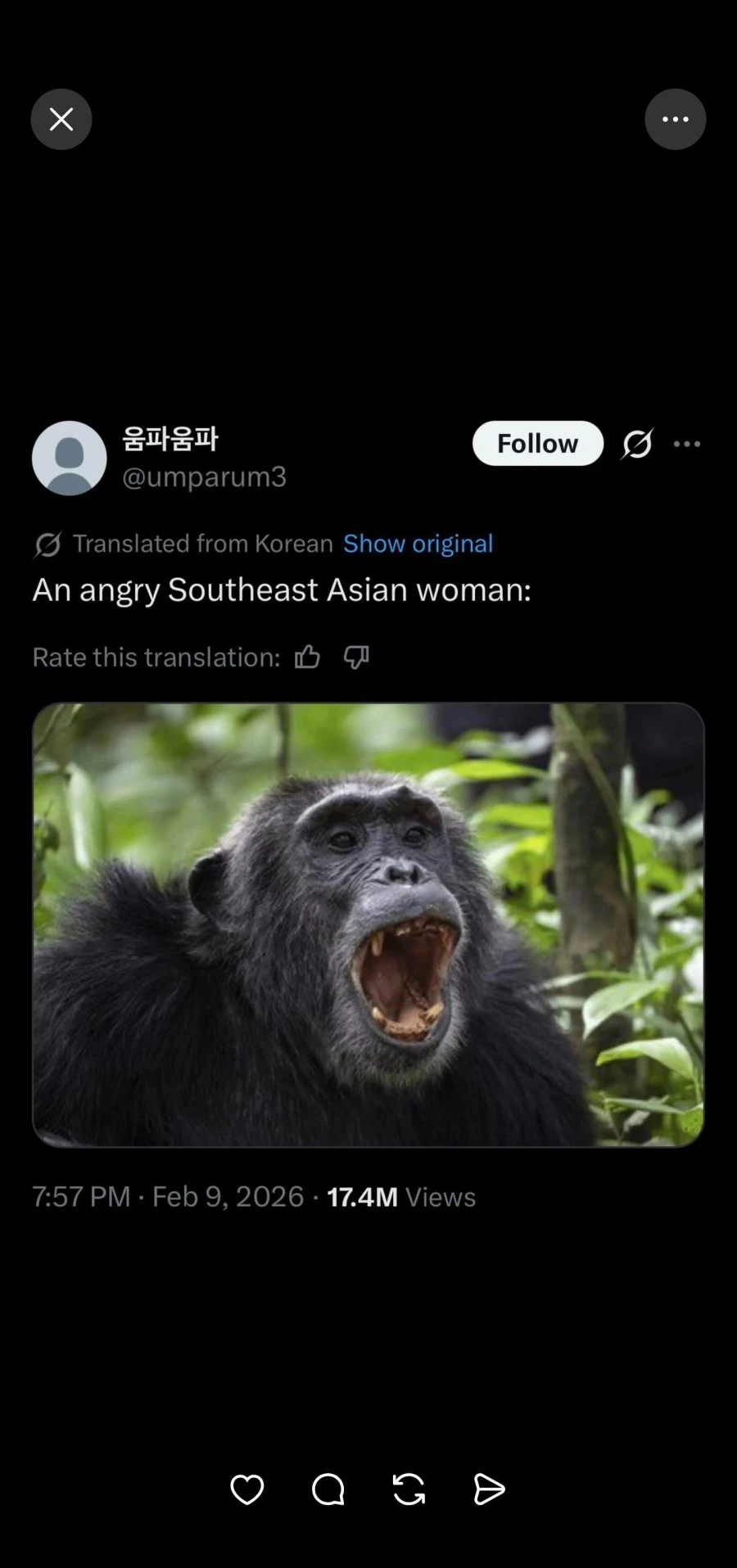 20260213044834_fIkHmzDJhk.png