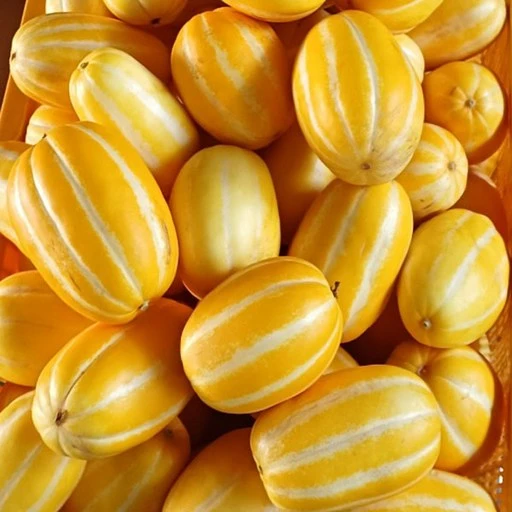 [ㅋㅍ]성주 꿀 참외 산지직송 당도선별 가정용, 5kg (가정용 랜..., 1개( 14,900원, 35% 할인)