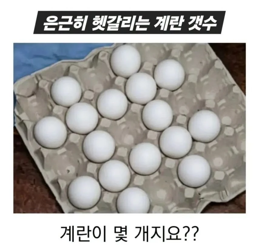 은근히 헷갈린다는 계란 갯수 ㄷㄷ.jpg